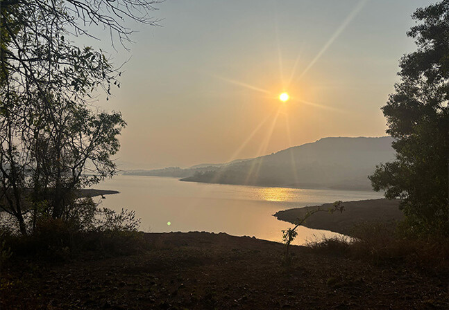 Gallery_10